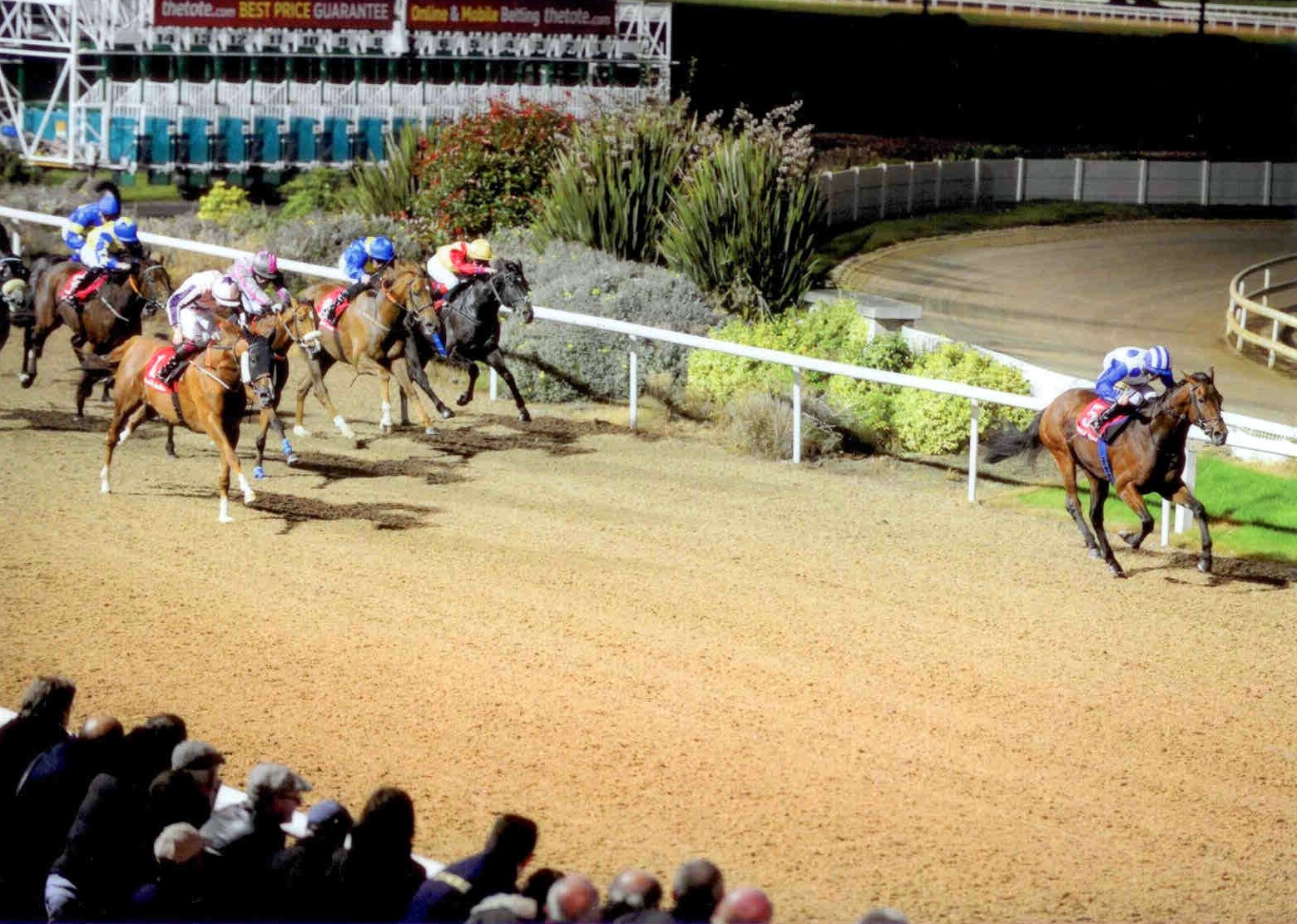 VALE DO SOL powers away from the field at Dundalk on October 2nd 2015